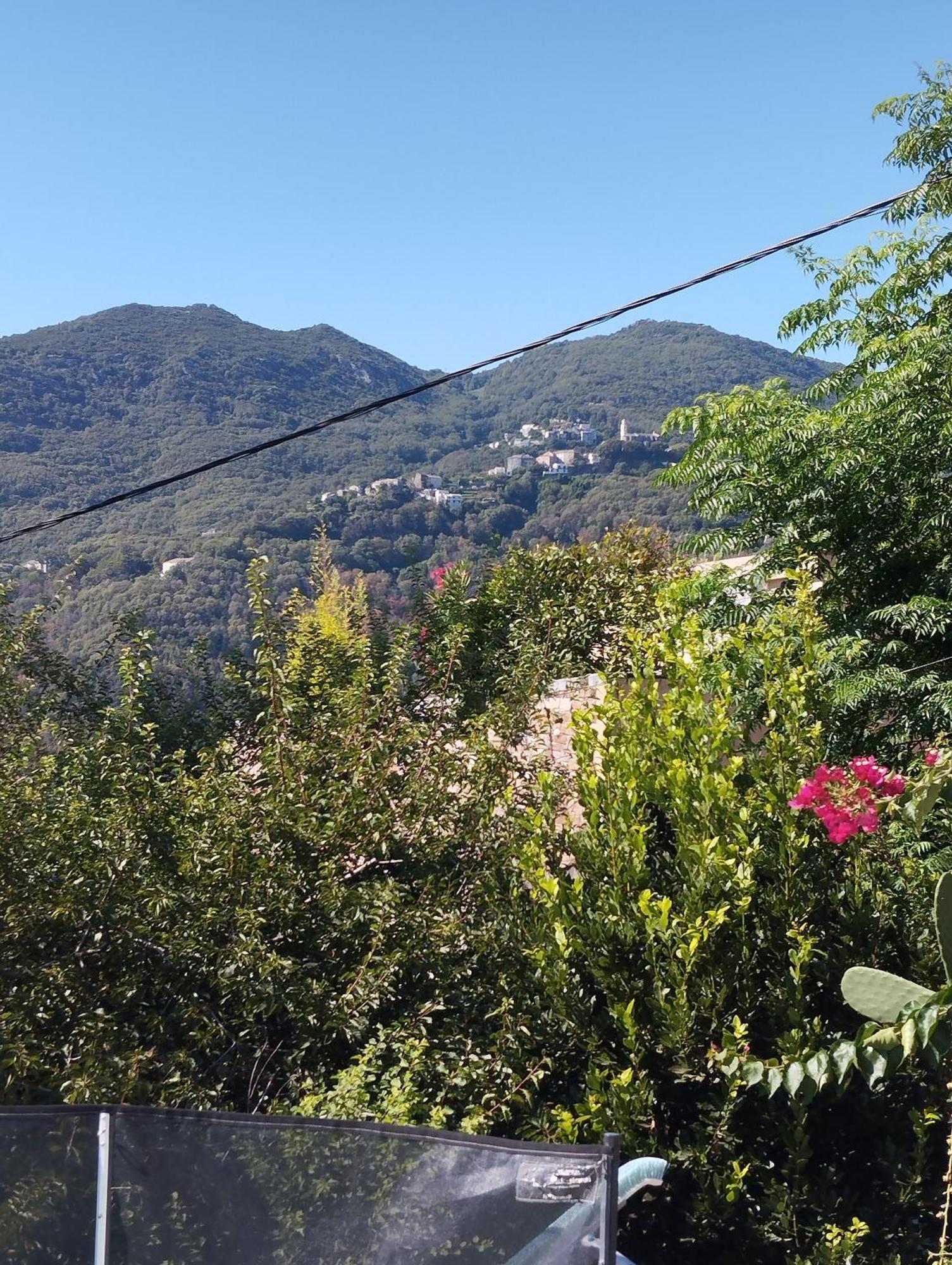 Chambre D'Hote Partine Cap Corse Santa-Maria-di-Lota Esterno foto